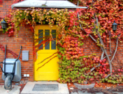 Brick house with fall vines and a wheelbarrow