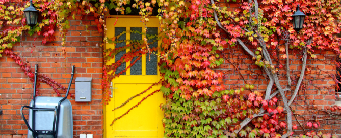 Brick house with fall vines and a wheelbarrow